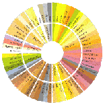 small flavor wheel