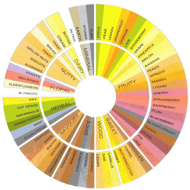 flavor wheel